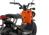 Honda Ruckus Pieces