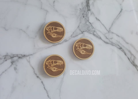 TRex Skull magnets set - fridge dinosaurs gift boys girls